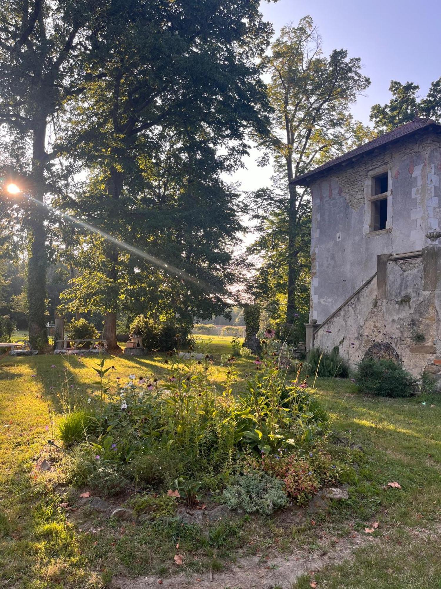 Lagarde  Chateau De Sibra المظهر الخارجي الصورة